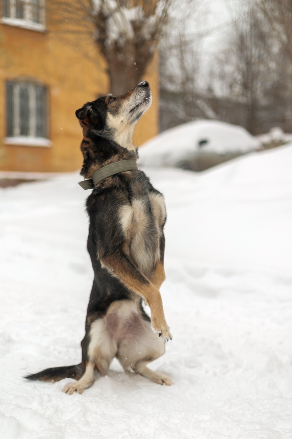 ph: Елена Тимофеева