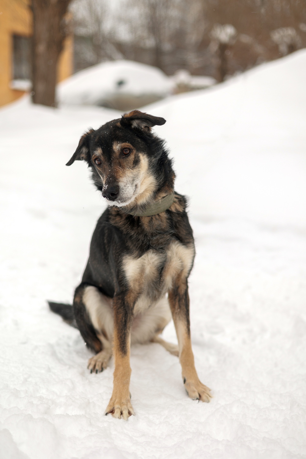 ph: Елена Тимофеева