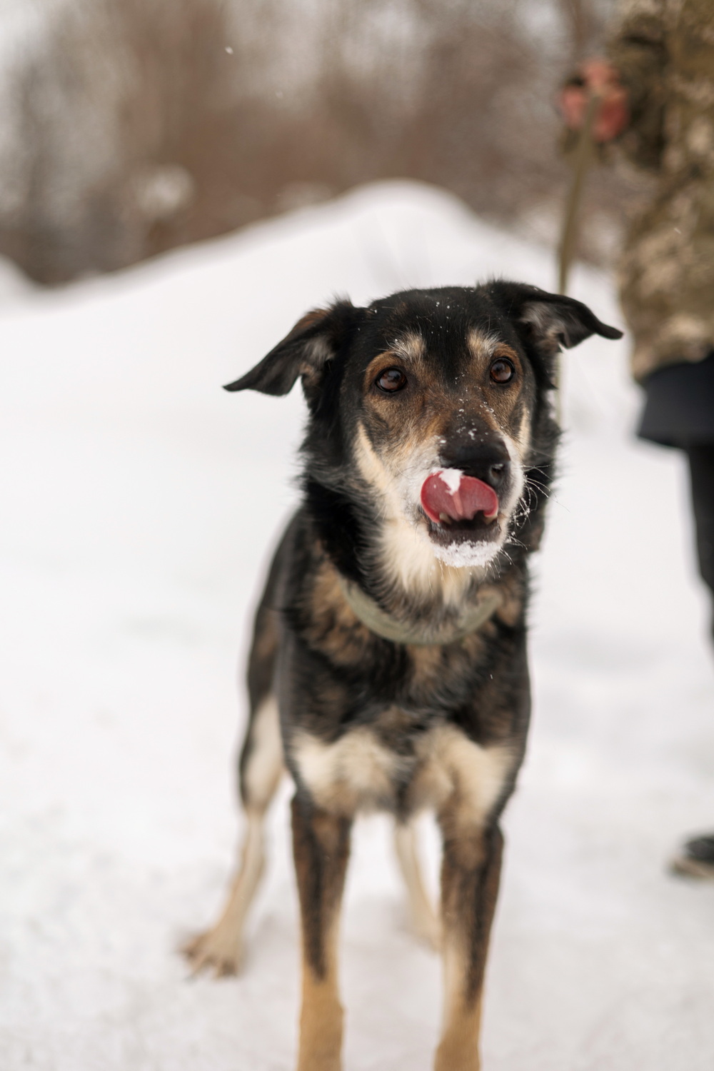 ph: Елена Тимофеева