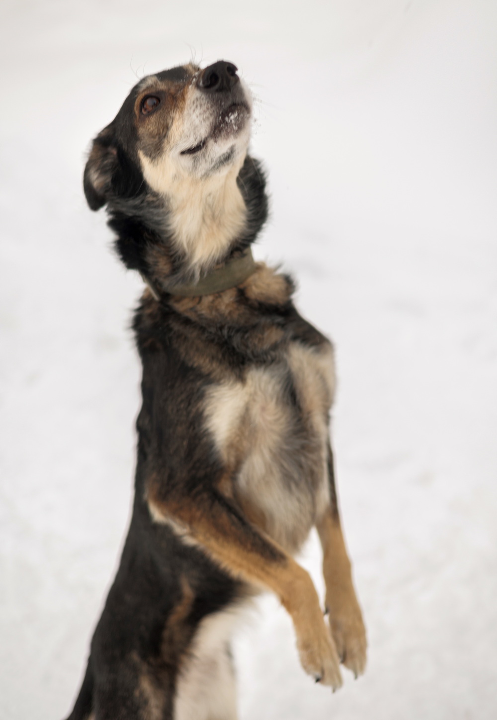 ph: Елена Тимофеева