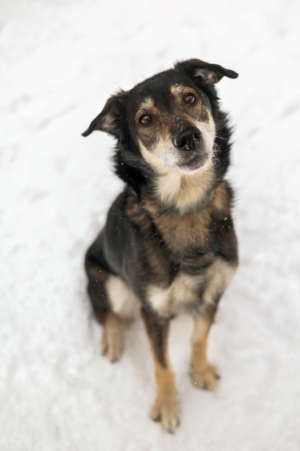 ph: Елена Тимофеева