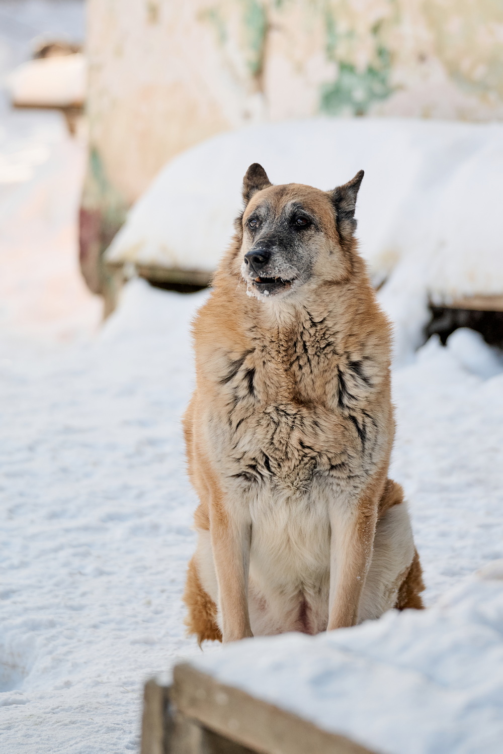 ph: Анна Молодожён