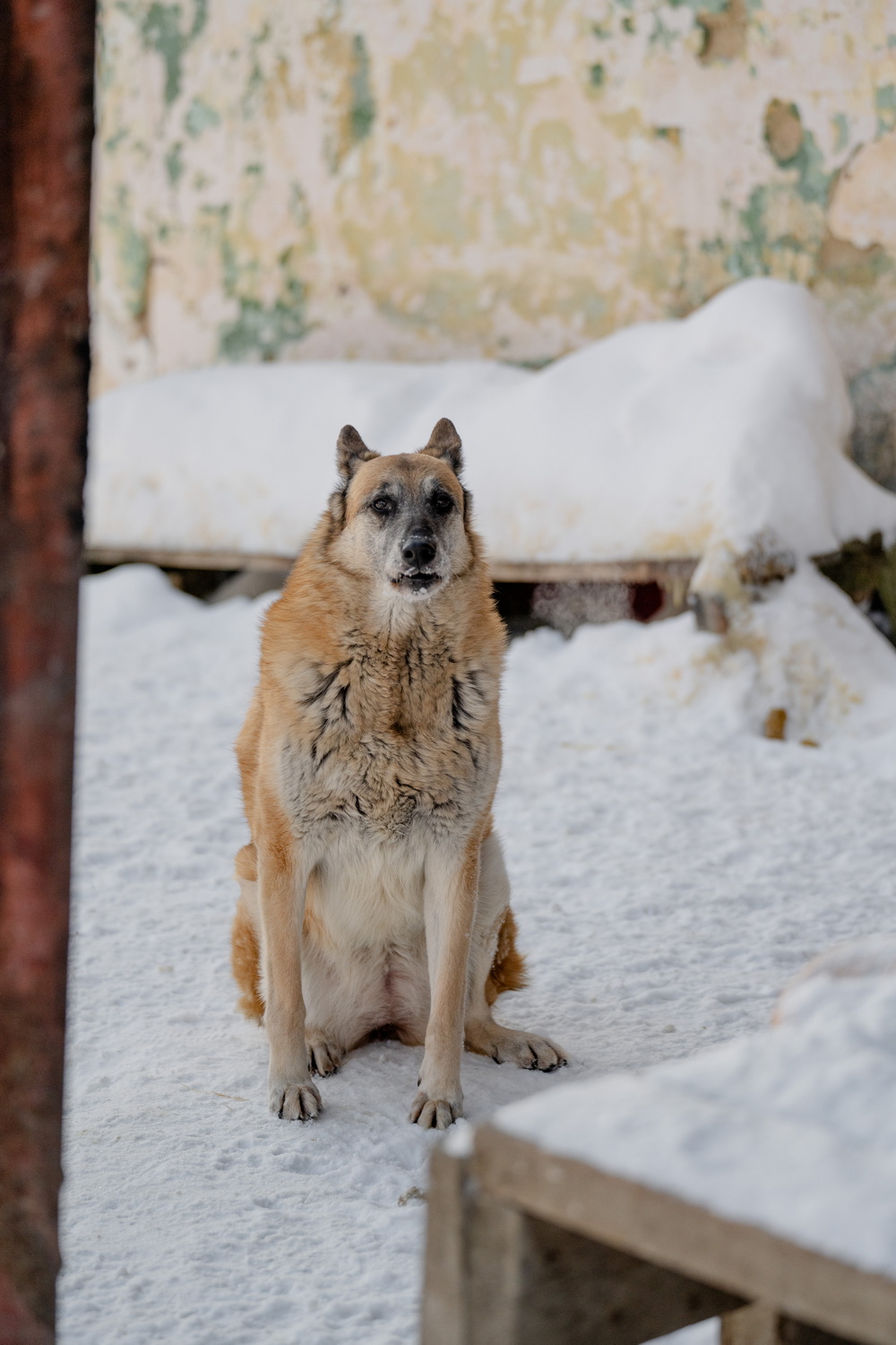 ph: Анна Молодожён