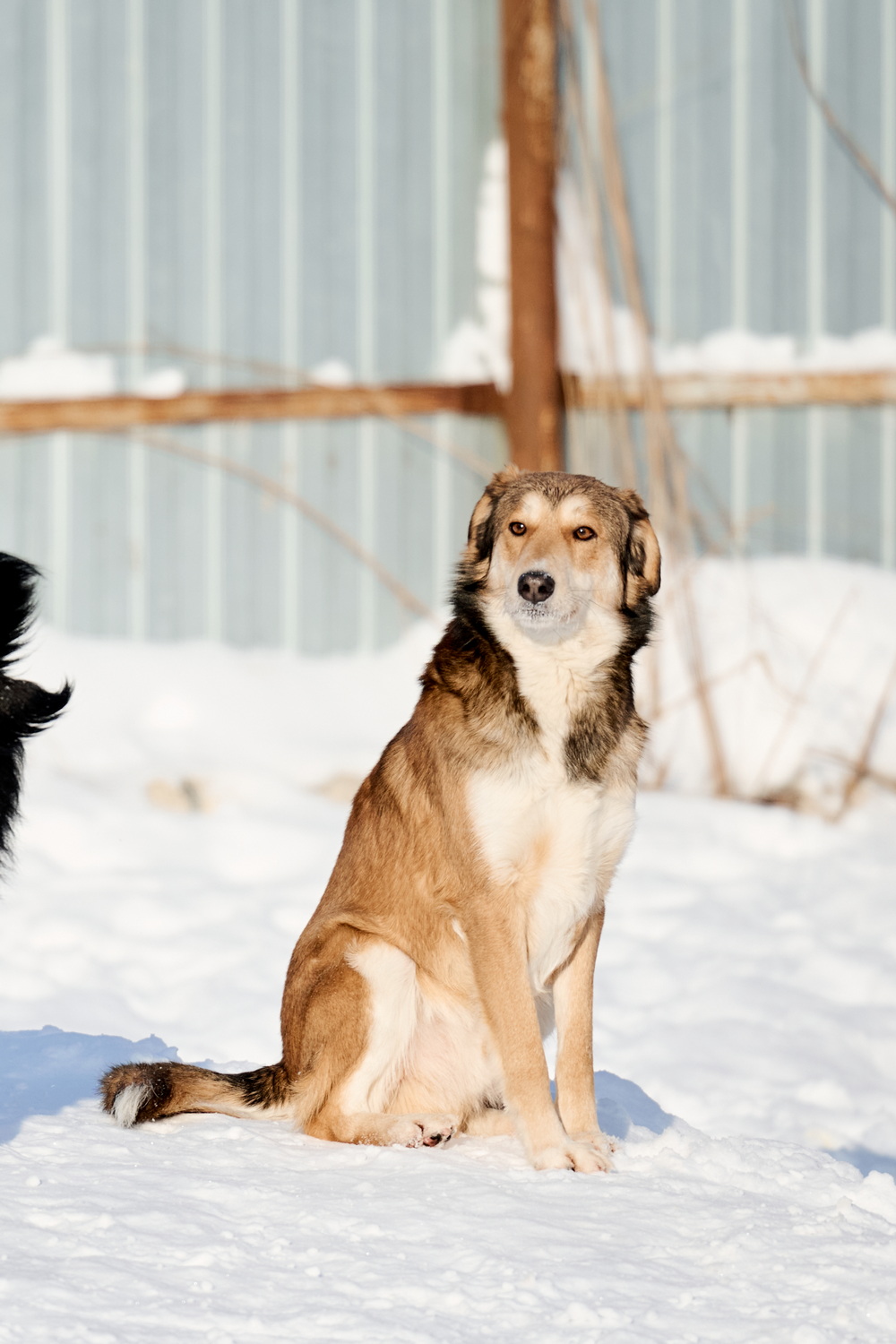 ph: Анна Молодожён