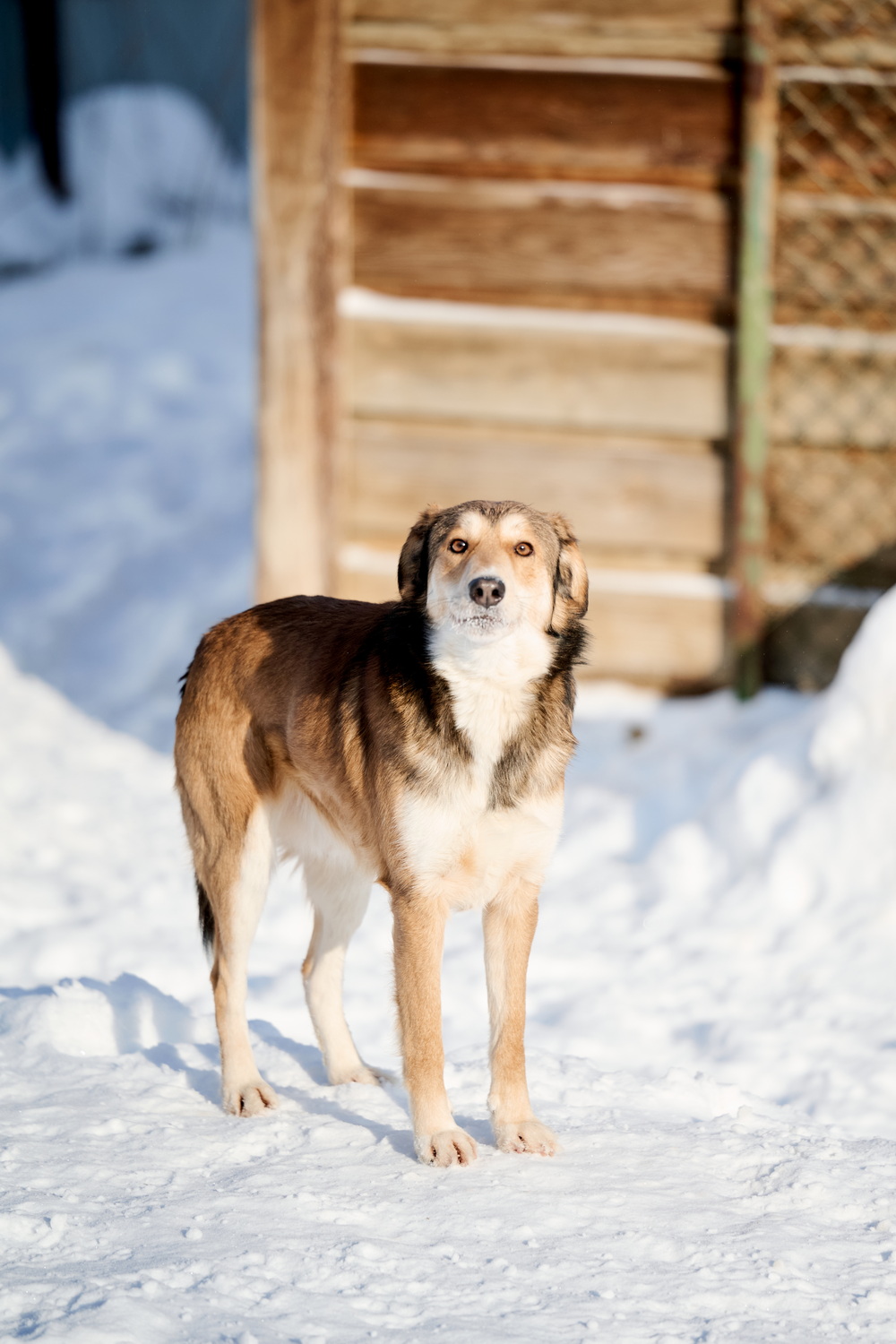 ph: Анна Молодожён