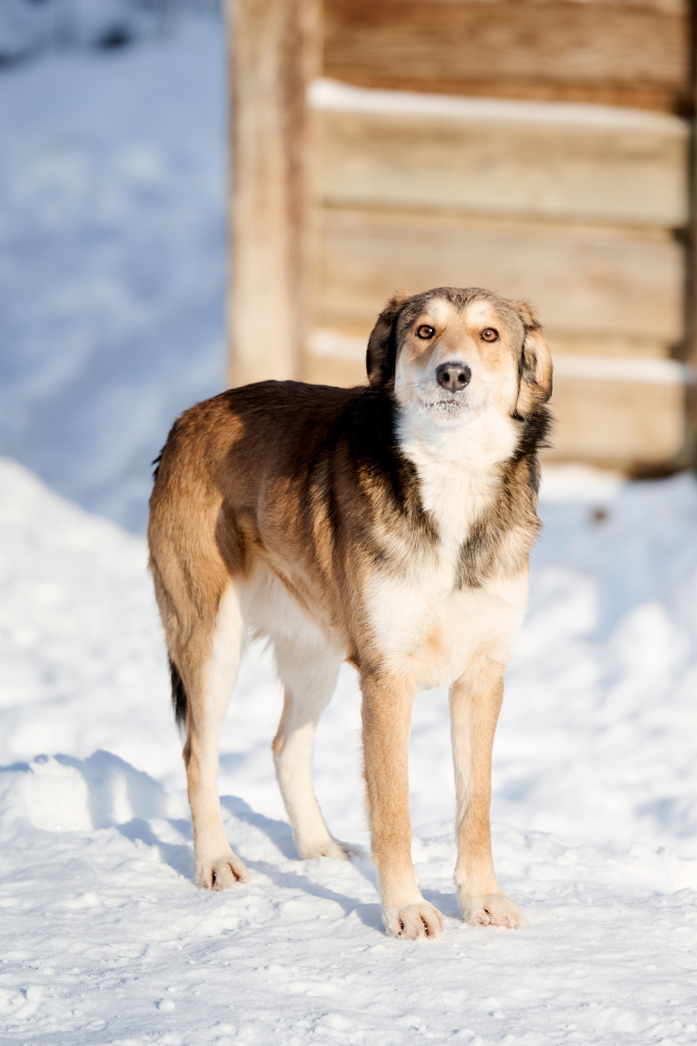 ph: Анна Молодожён