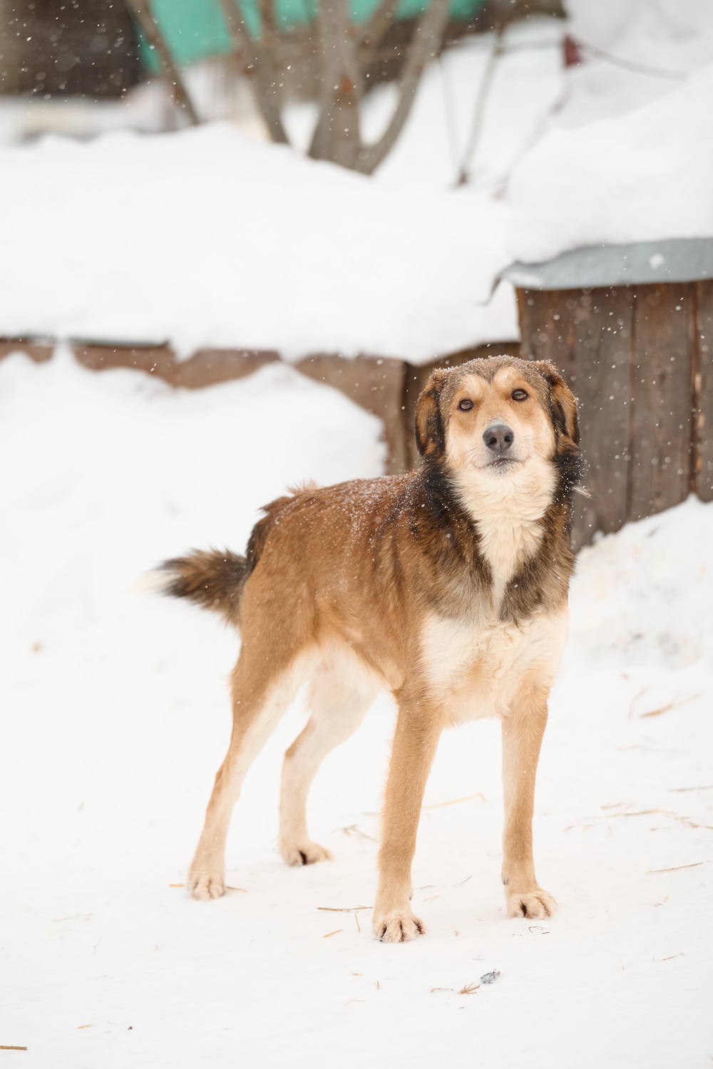 ph: Анна Молодожён