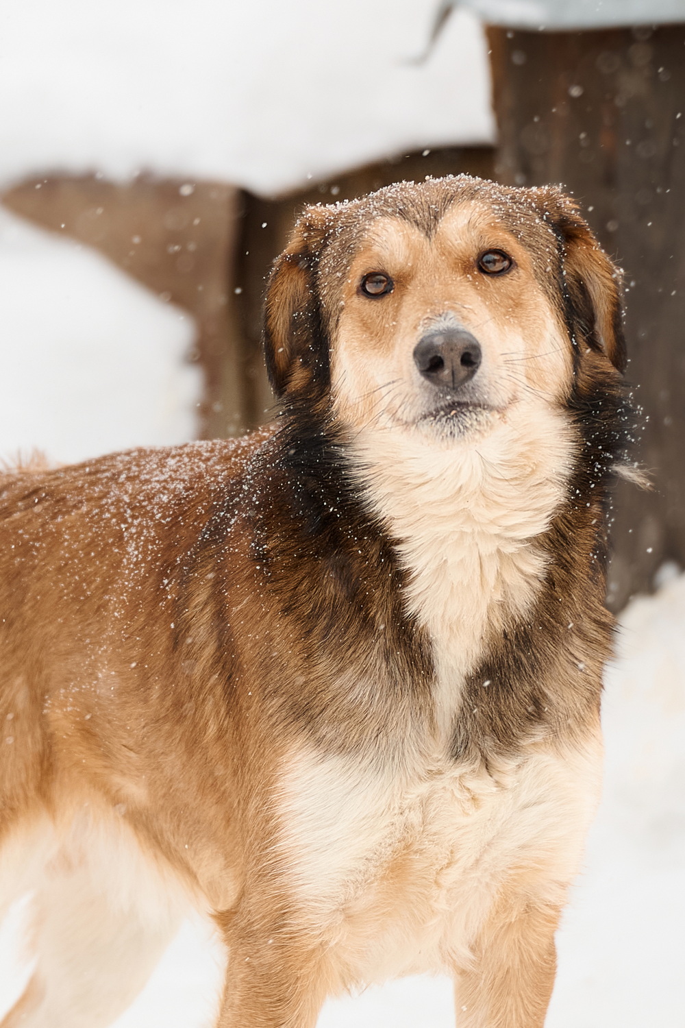 ph: Анна Молодожён