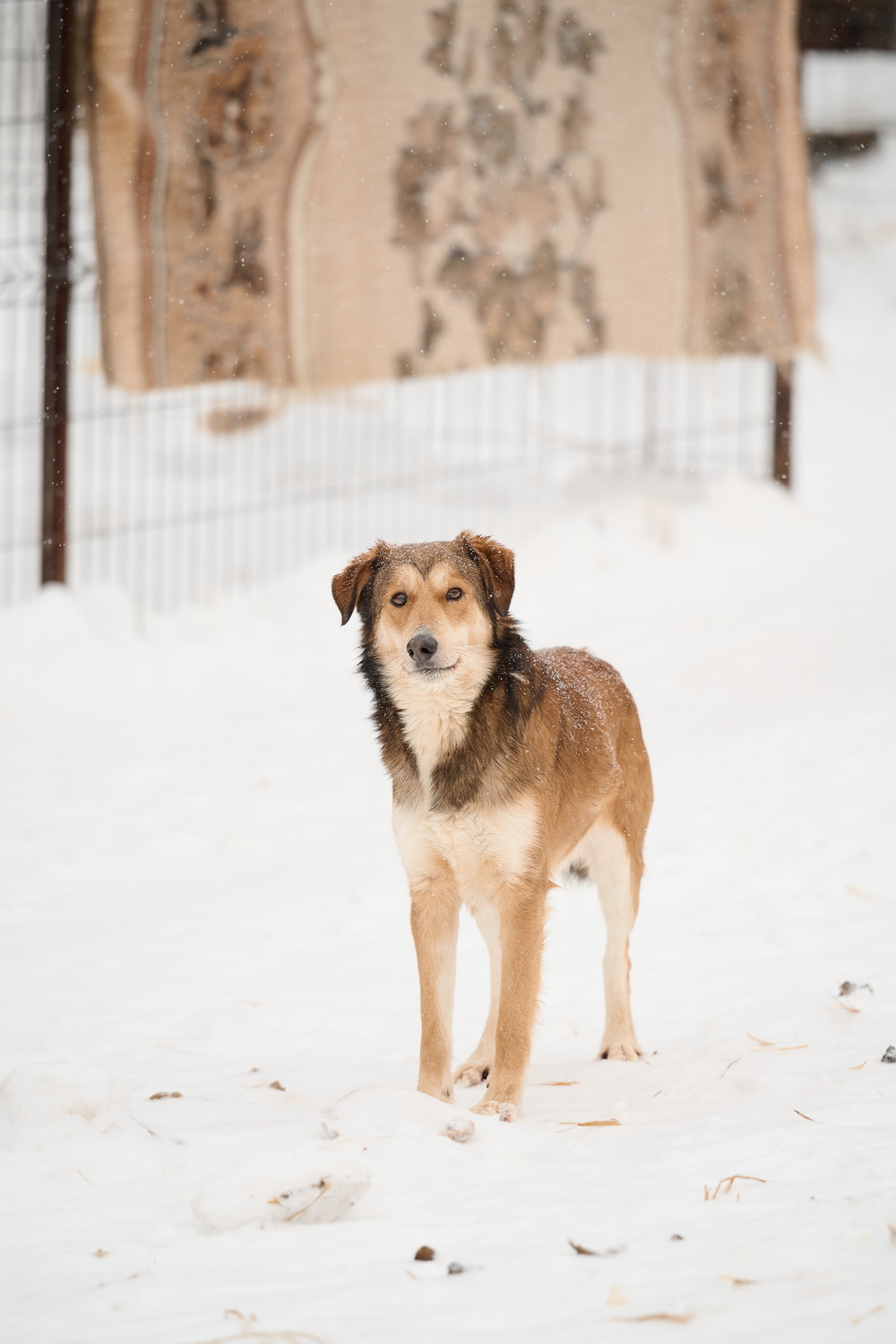 ph: Анна Молодожён