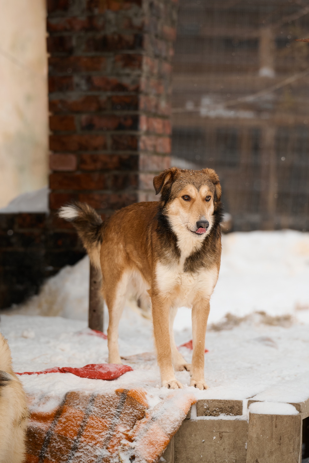 ph: Анна Молодожён