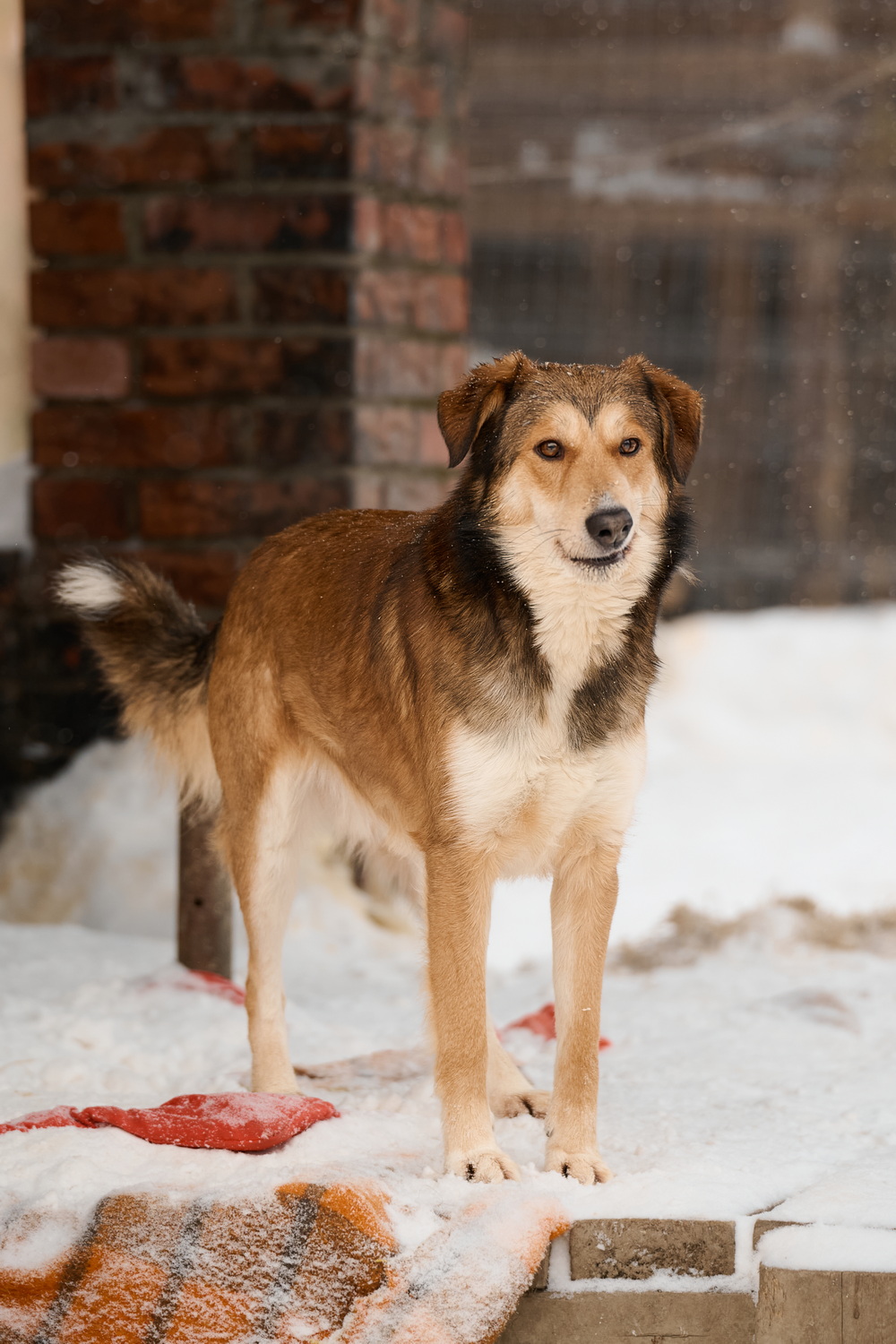 ph: Анна Молодожён