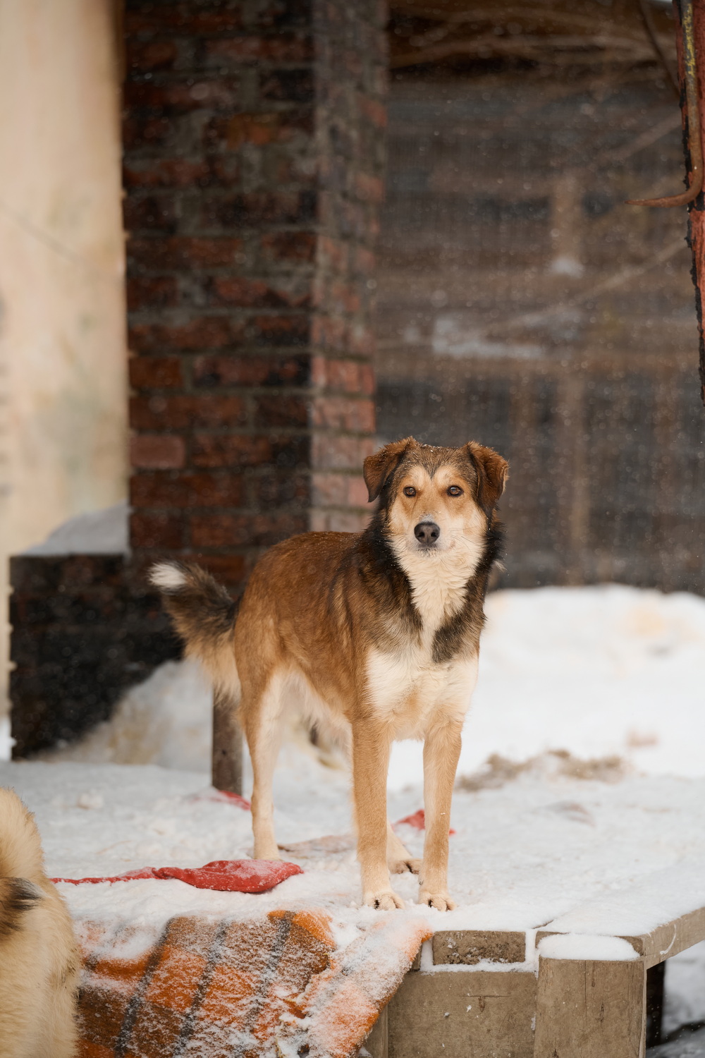 ph: Анна Молодожён