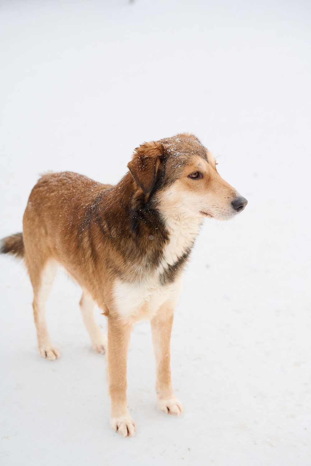 ph: Анна Молодожён