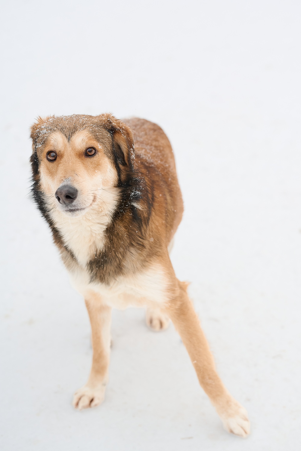 ph: Анна Молодожён