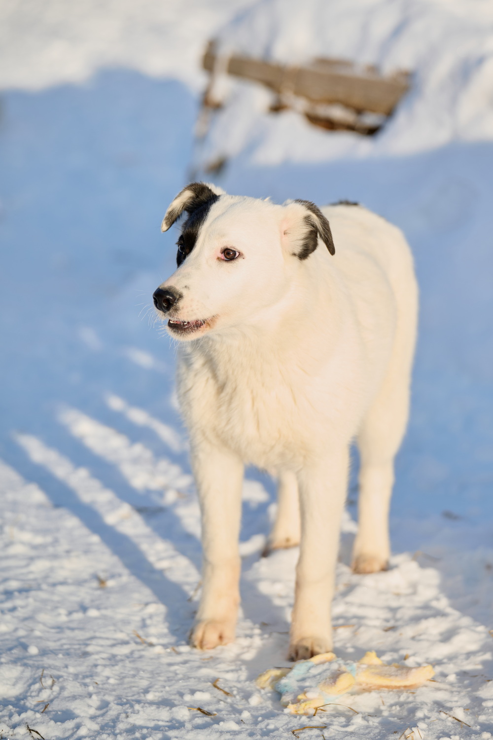 ph: Анна Молодожён