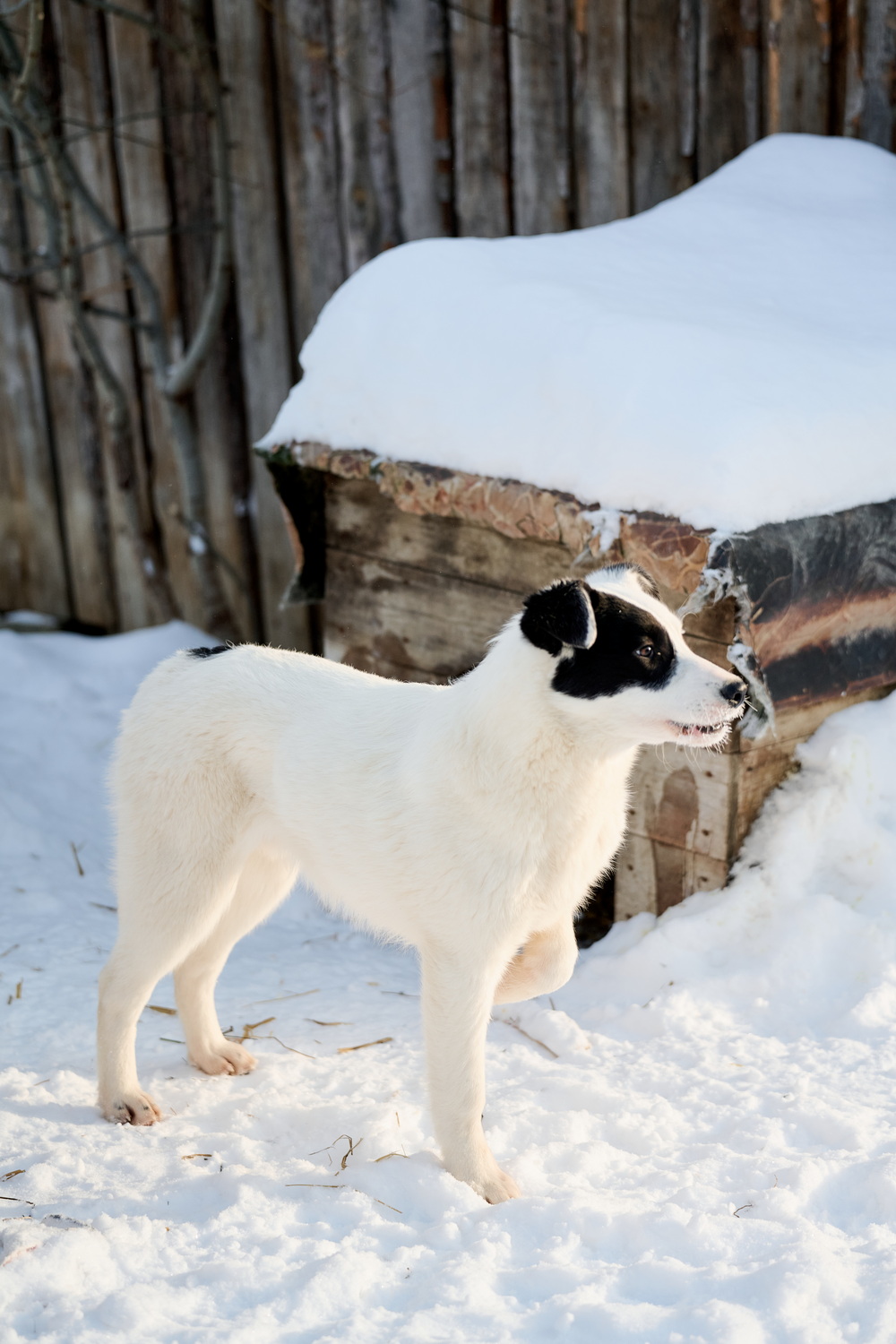 ph: Анна Молодожён
