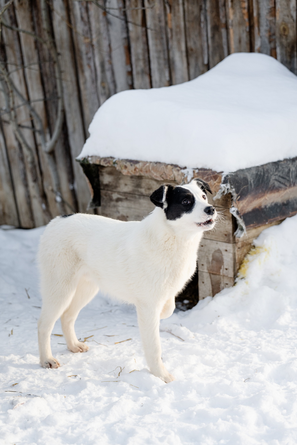 ph: Анна Молодожён