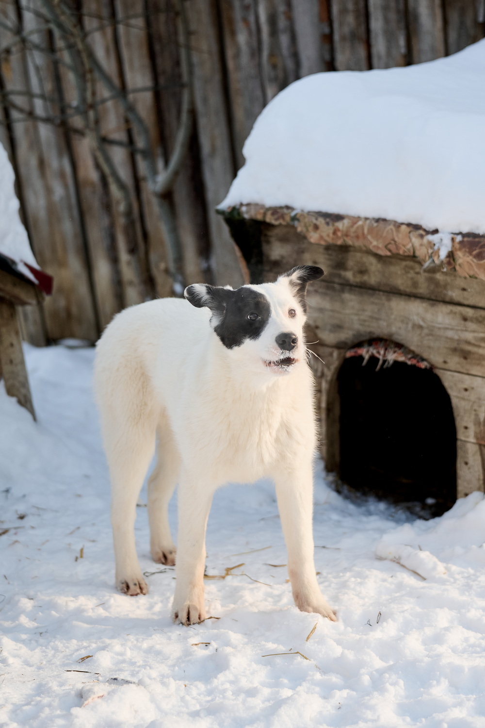 ph: Анна Молодожён