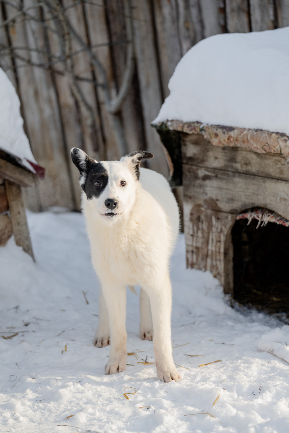 ph: Анна Молодожён