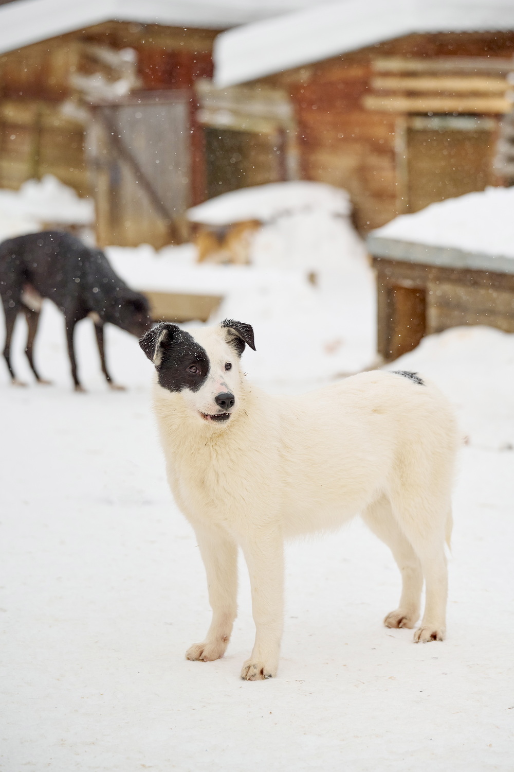 ph: Анна Молодожён