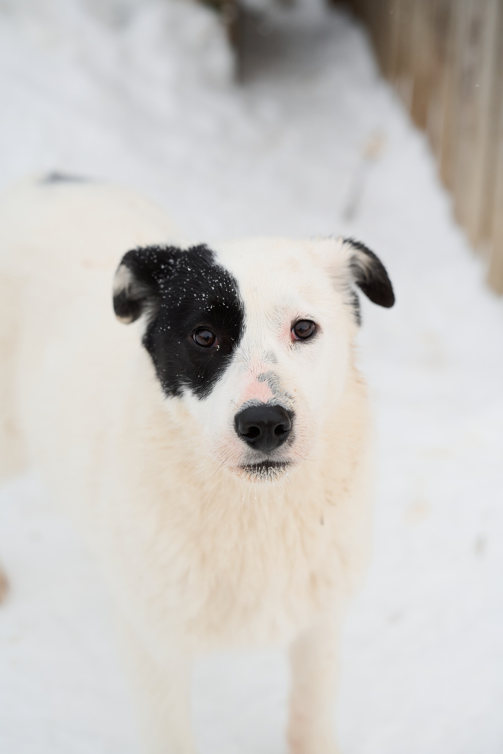 ph: Анна Молодожён