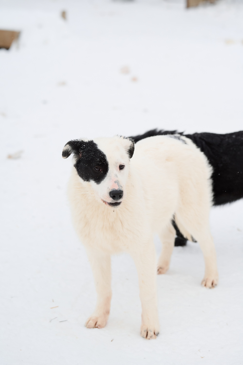 ph: Анна Молодожён