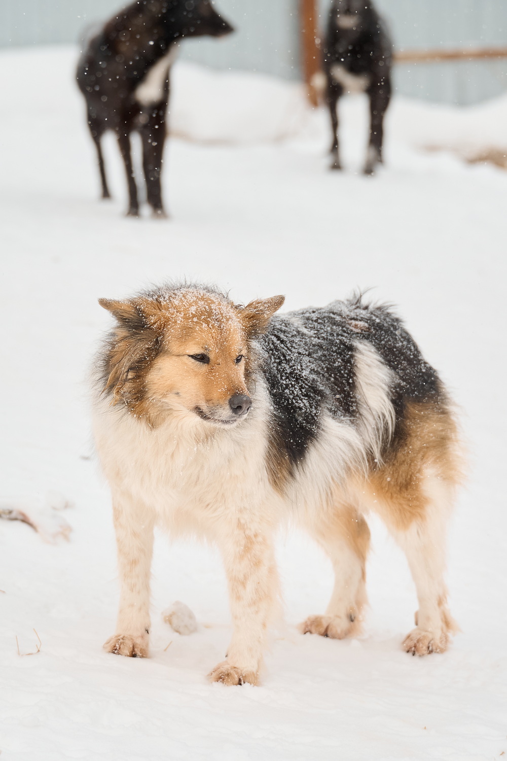 ph: Анна Молодожён