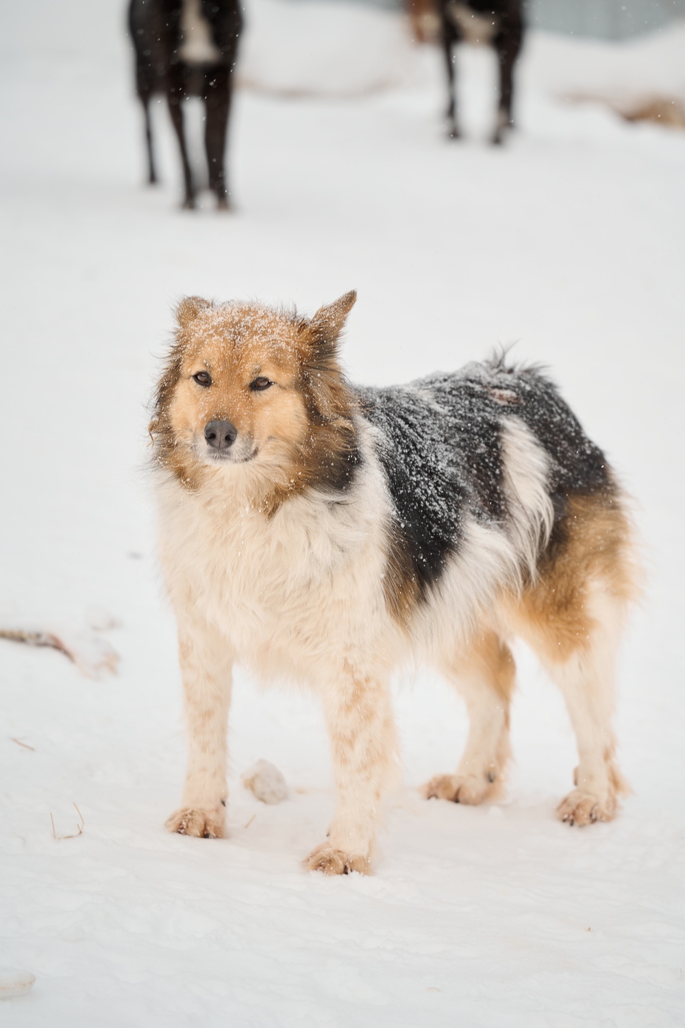ph: Анна Молодожён