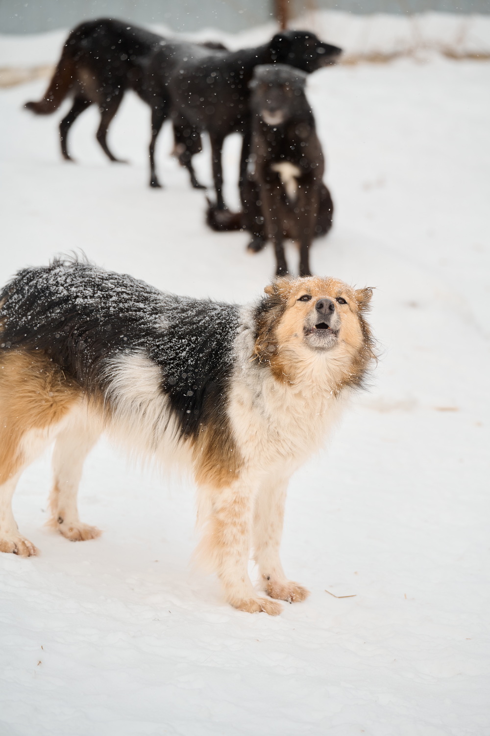 ph: Анна Молодожён