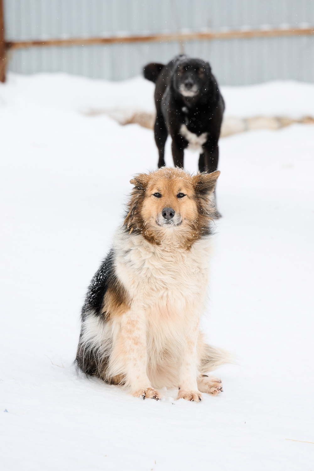 ph: Анна Молодожён