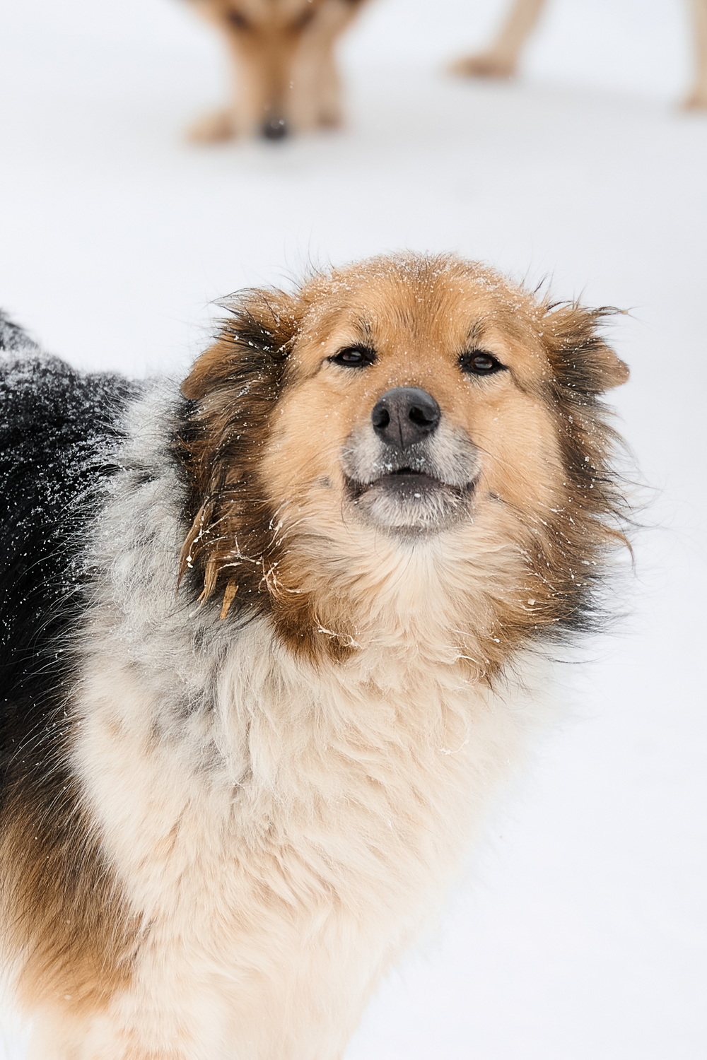 ph: Анна Молодожён