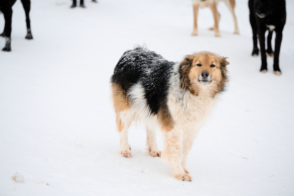 ph: Анна Молодожён