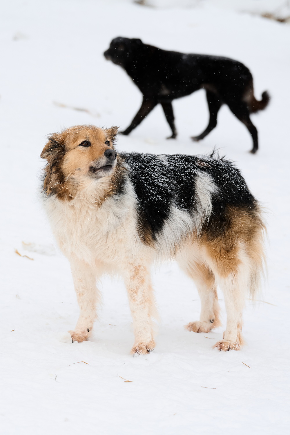 ph: Анна Молодожён