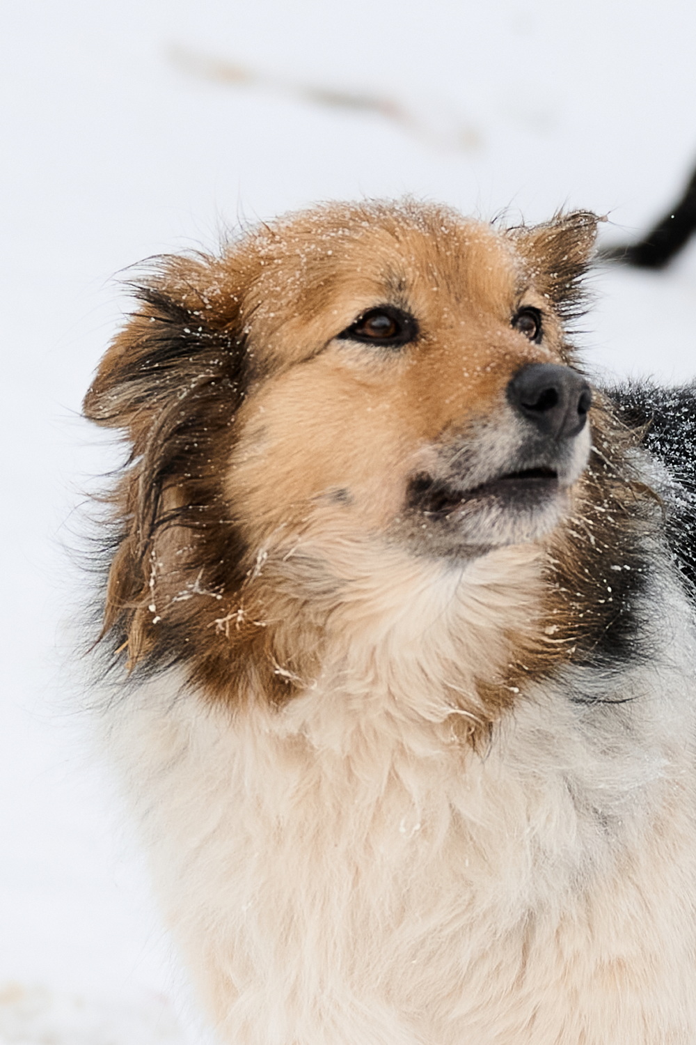 ph: Анна Молодожён