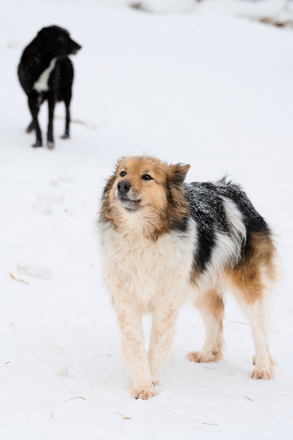 ph: Анна Молодожён