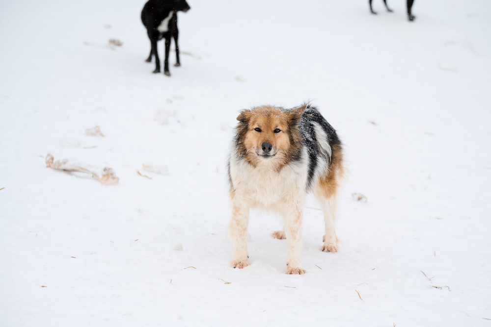 ph: Анна Молодожён