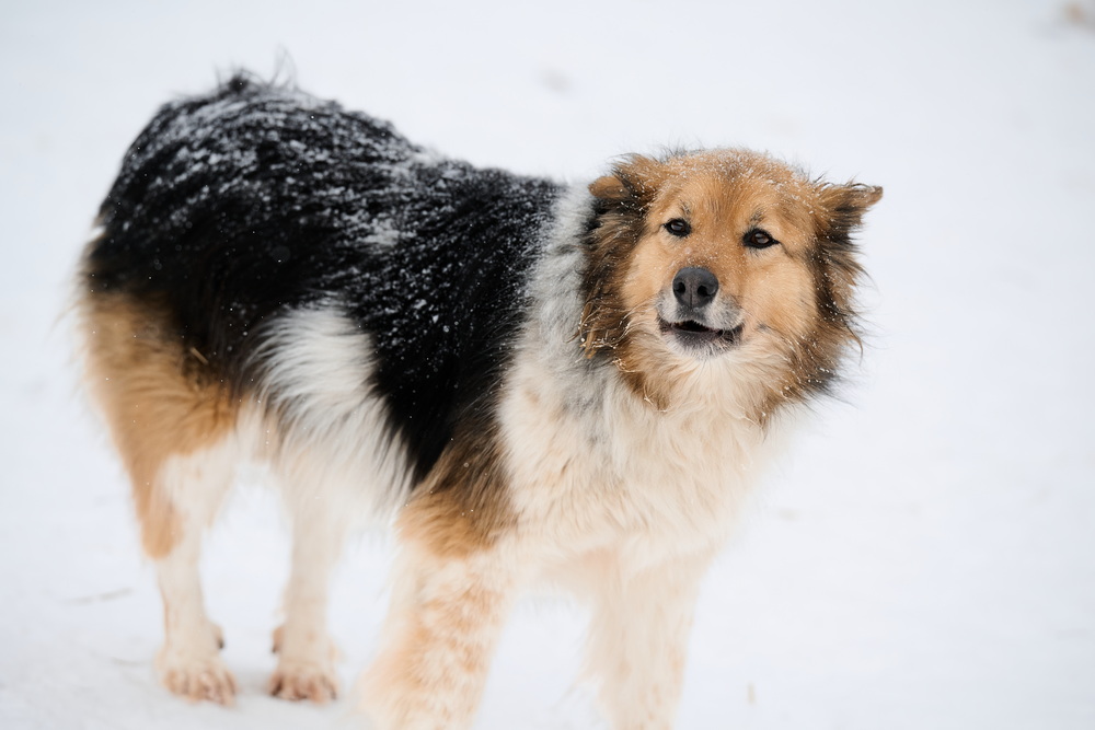 ph: Анна Молодожён