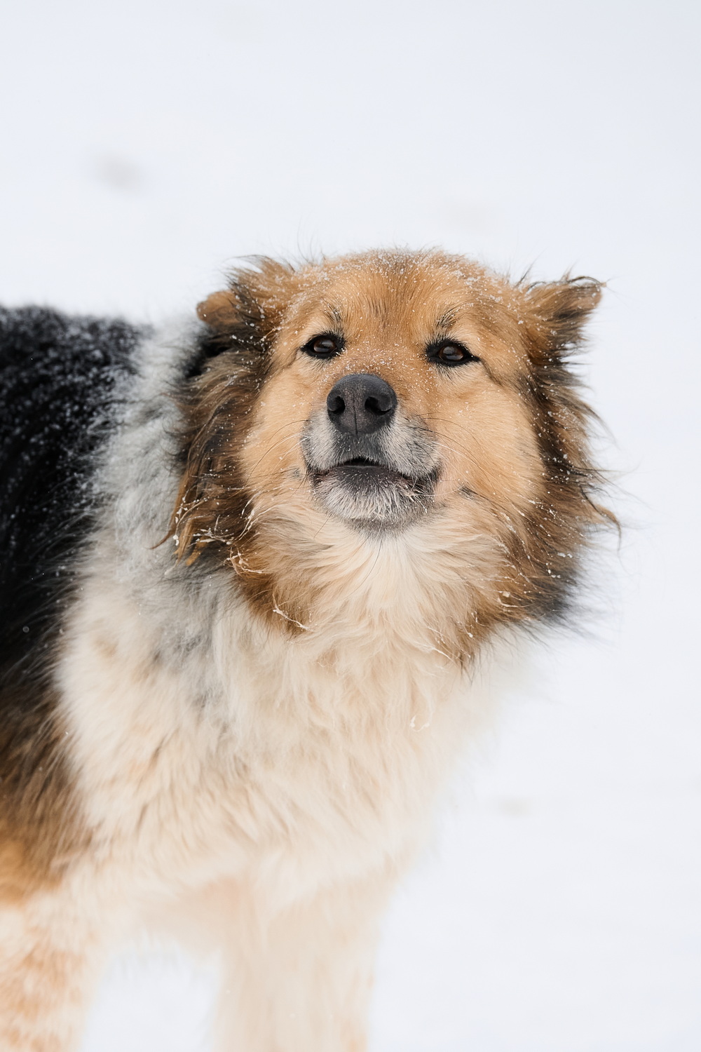 ph: Анна Молодожён