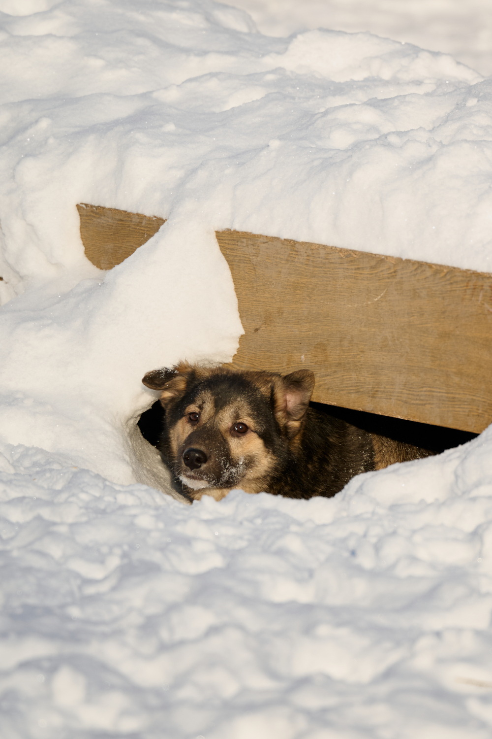 ph: Анна Молодожён