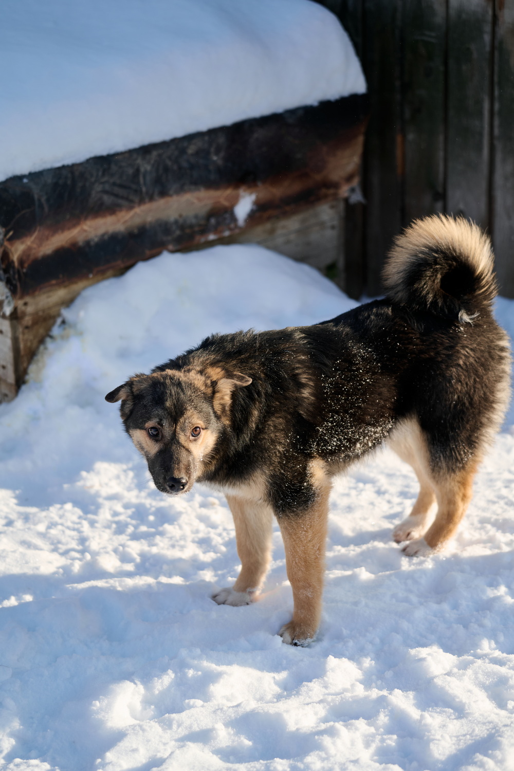 ph: Анна Молодожён
