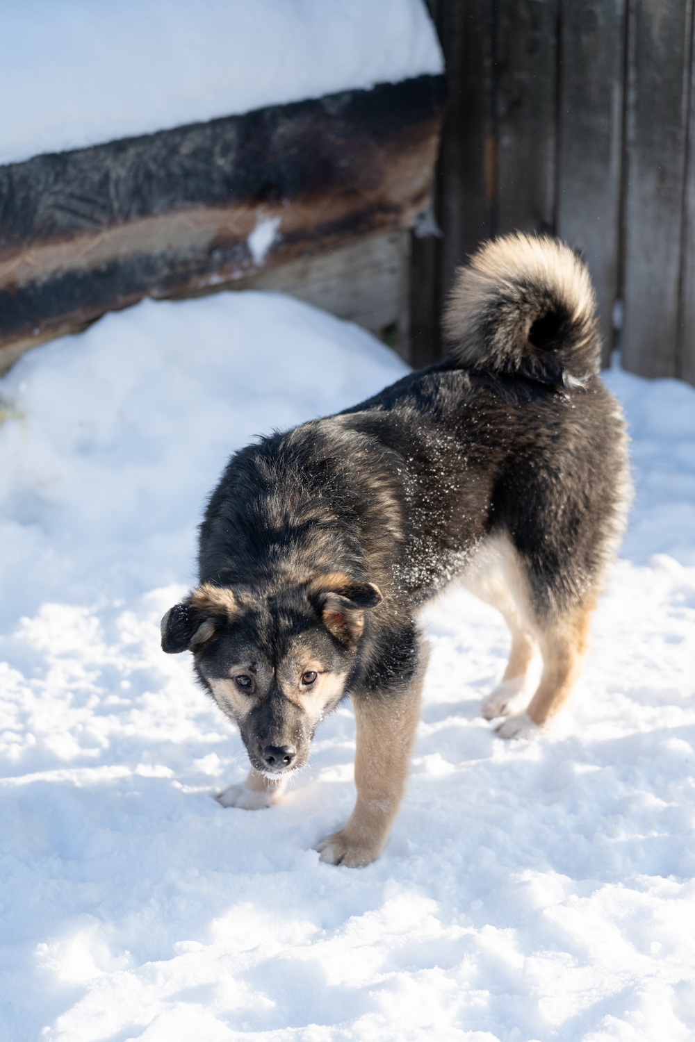 ph: Анна Молодожён