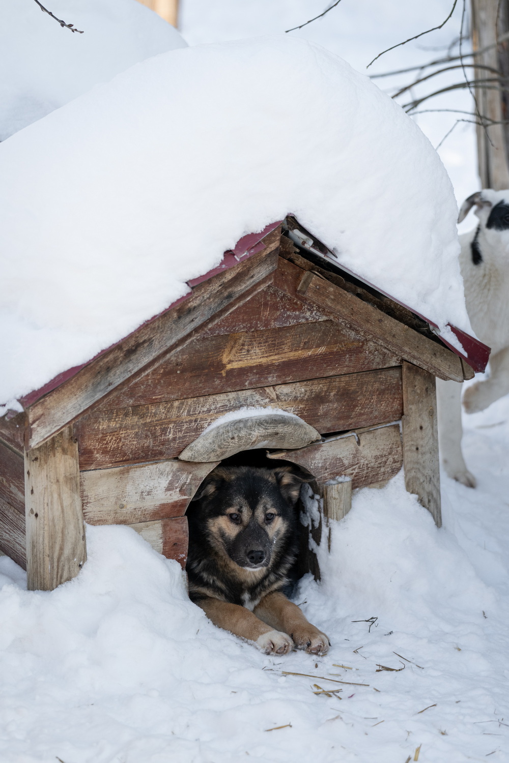 ph: Анна Молодожён