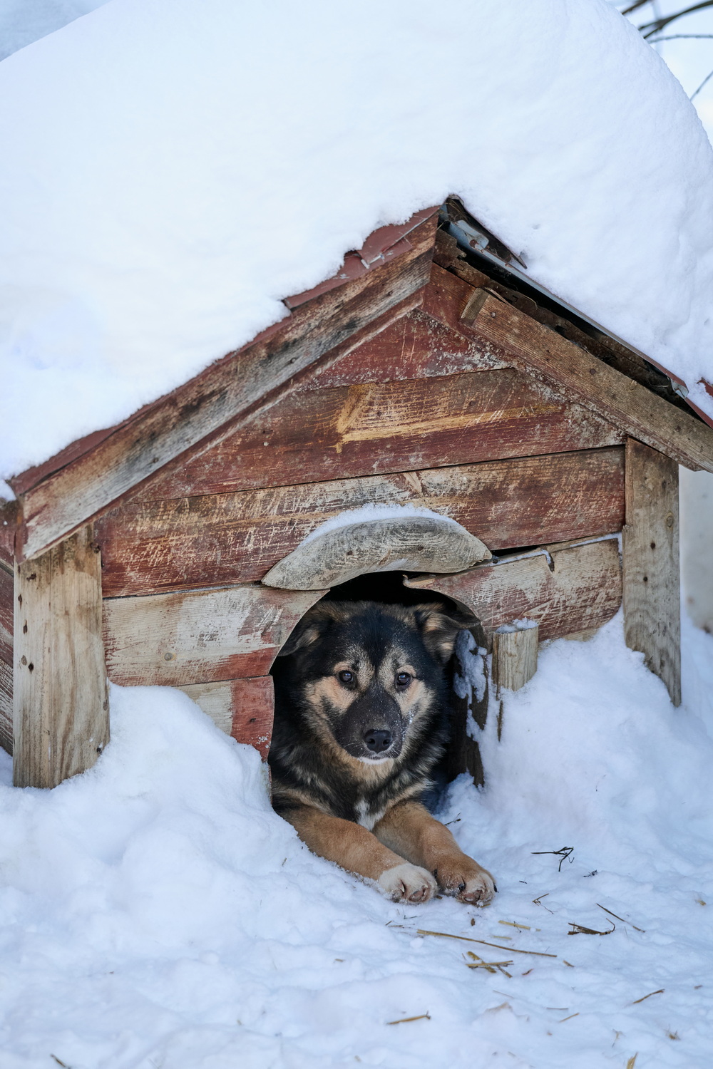 ph: Анна Молодожён