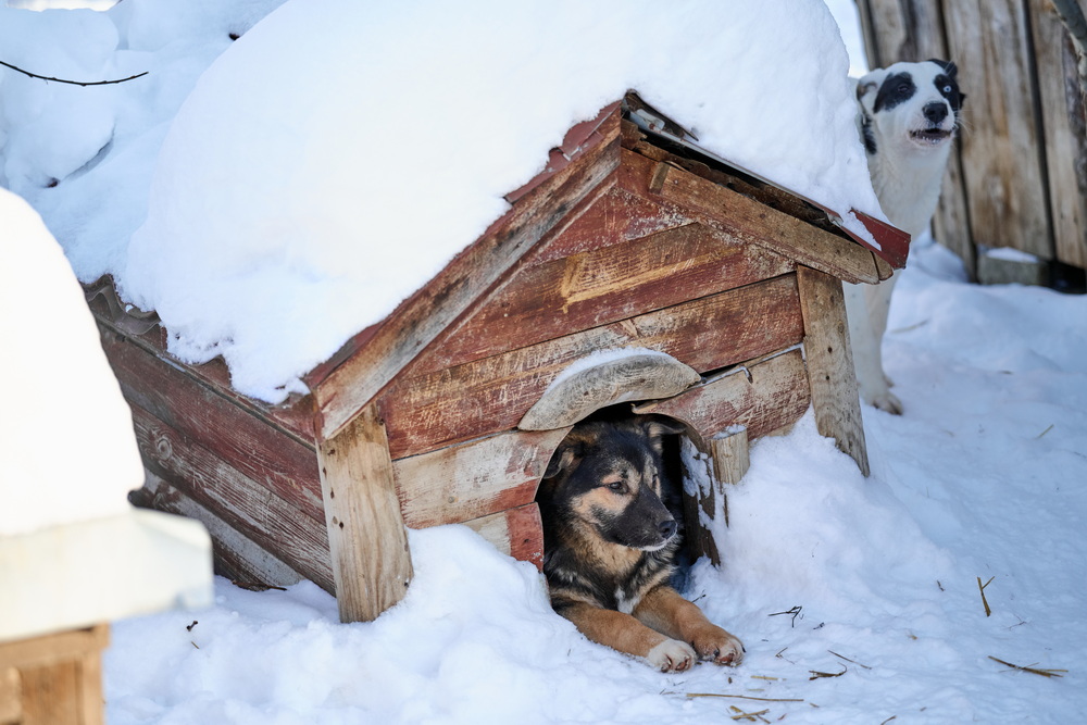 ph: Анна Молодожён