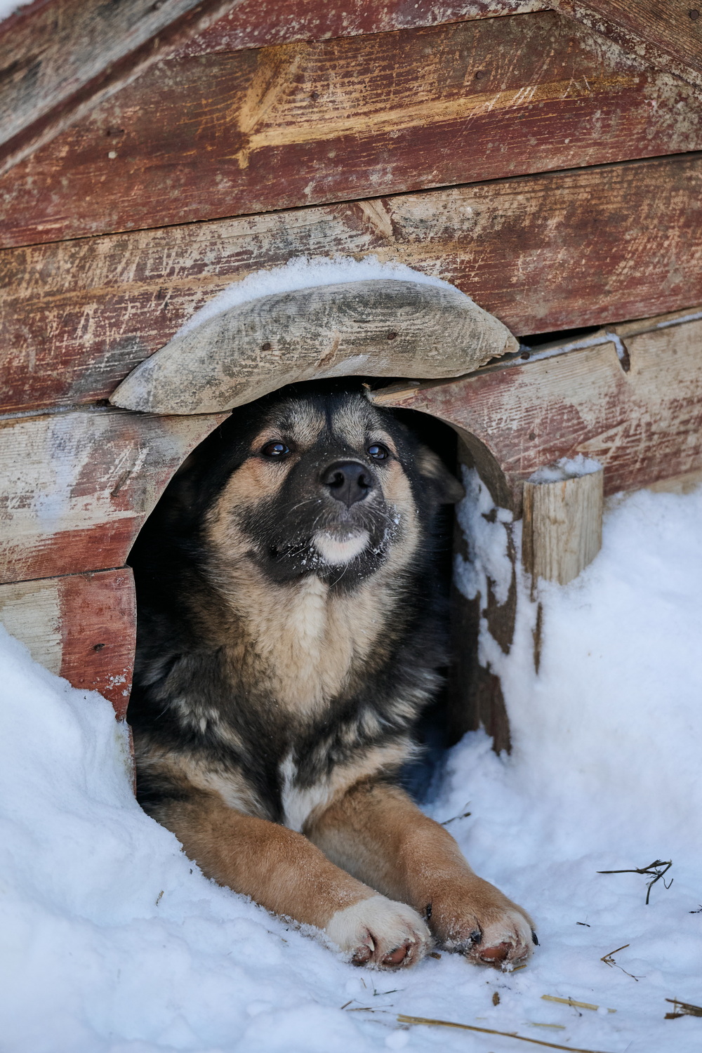 ph: Анна Молодожён