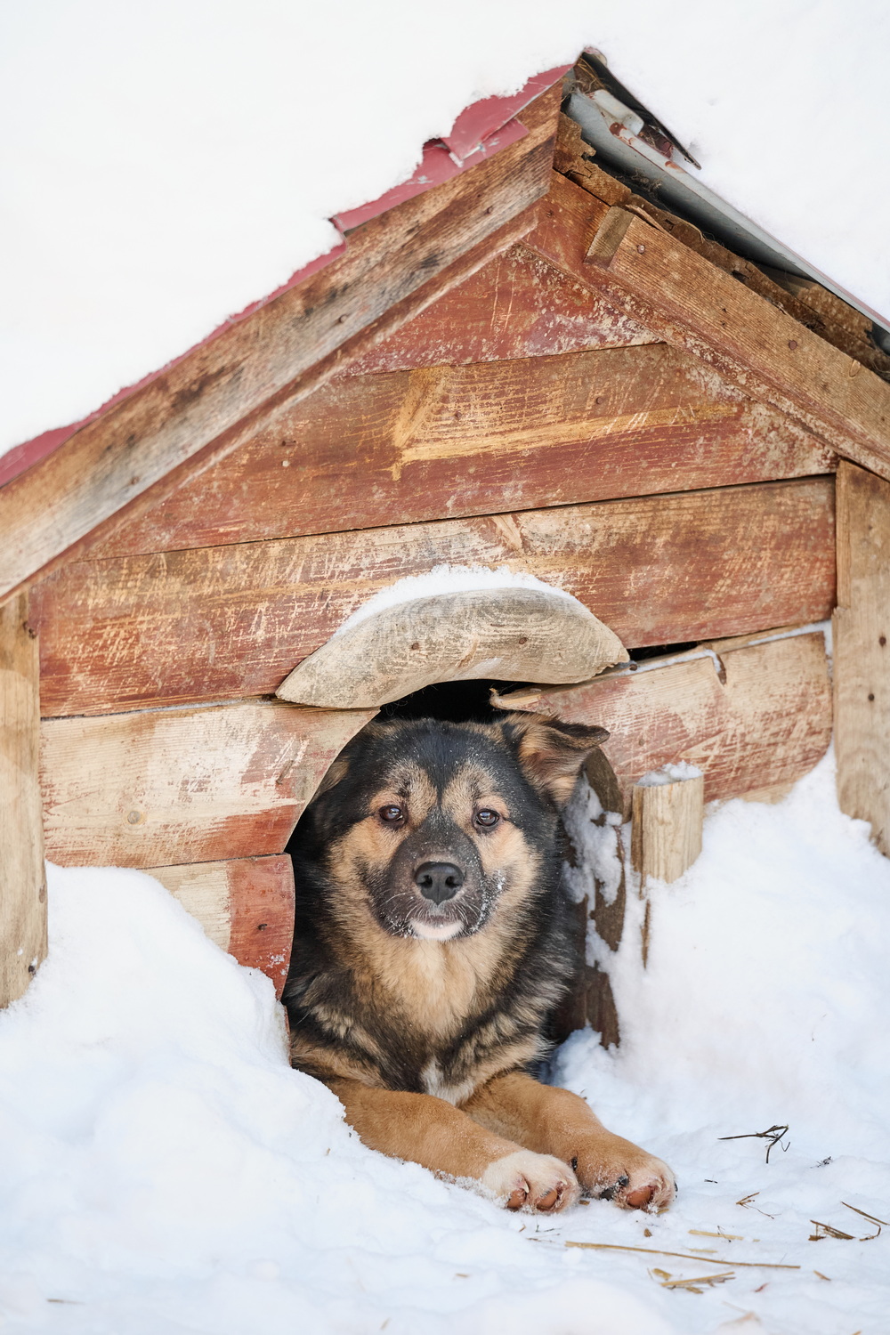 ph: Анна Молодожён