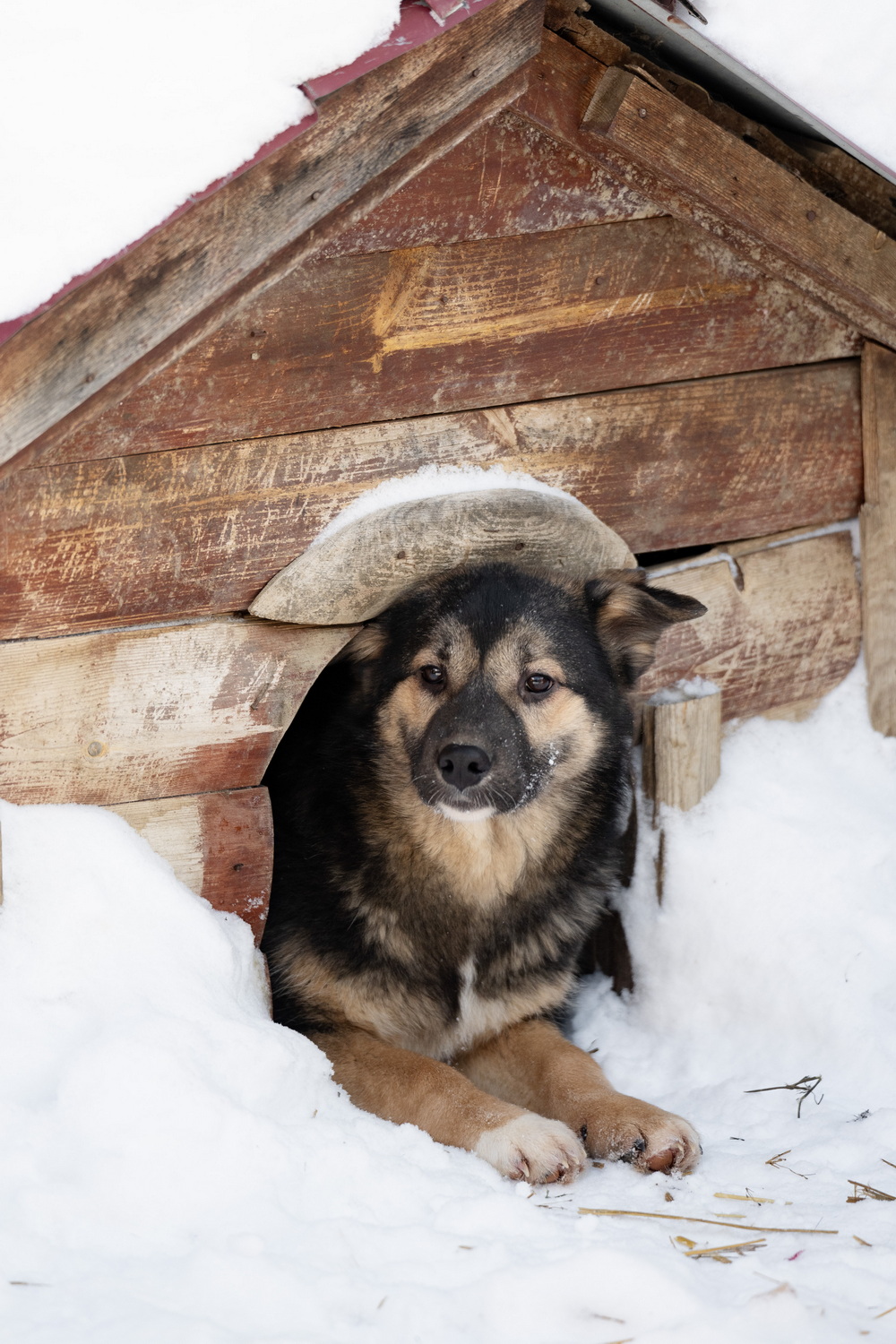ph: Анна Молодожён