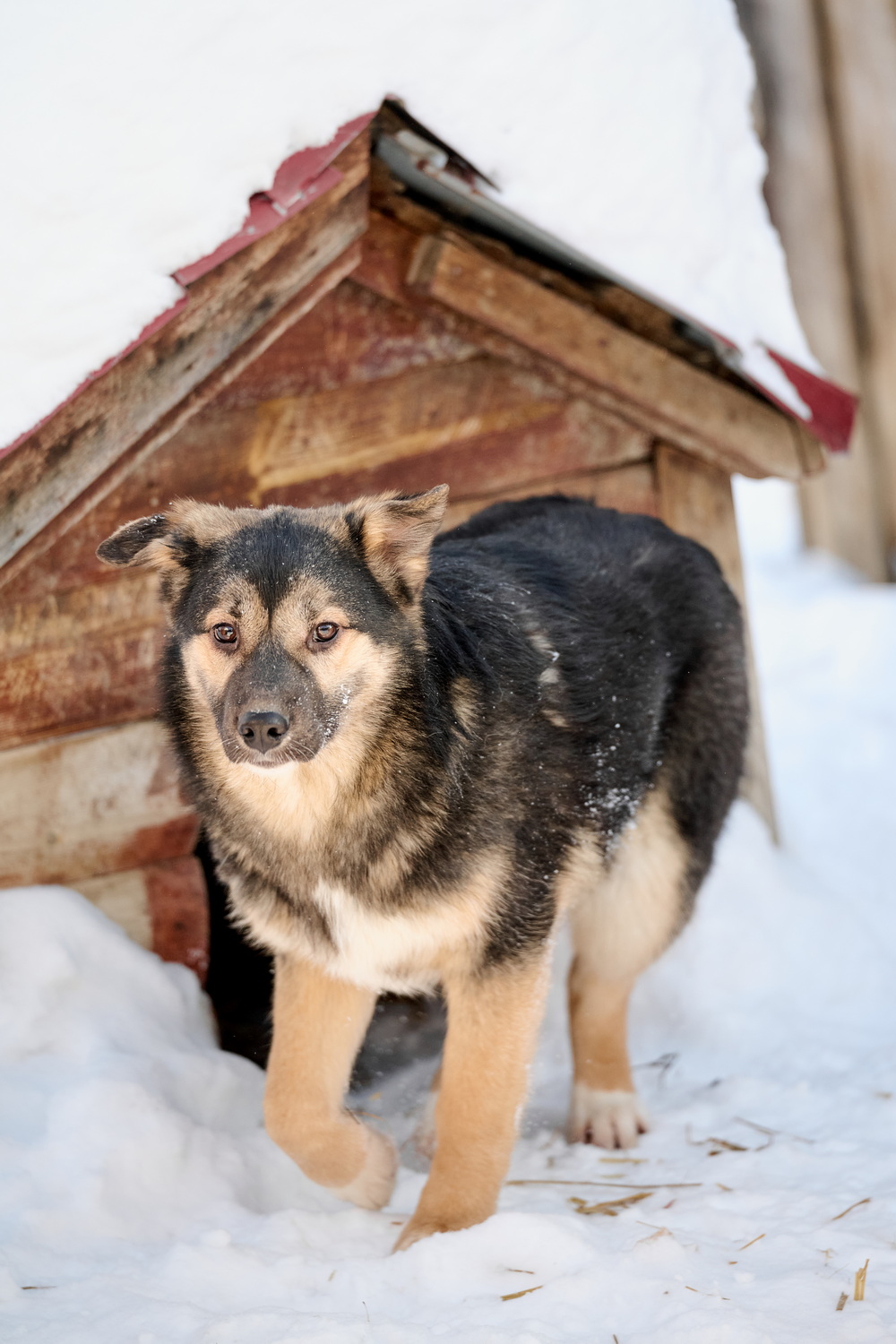 ph: Анна Молодожён