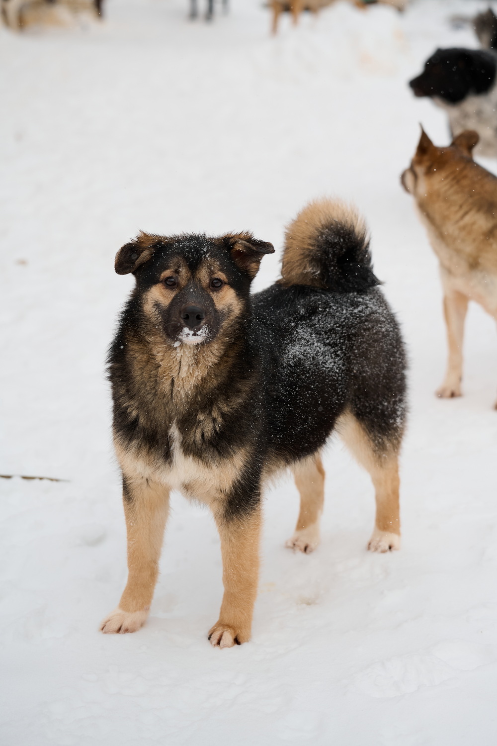 ph: Анна Молодожён