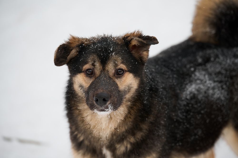 ph: Анна Молодожён